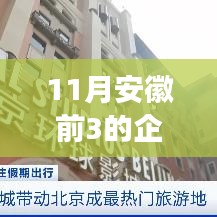 安徽前三企业探访之旅，深度攻略指南（11月版）