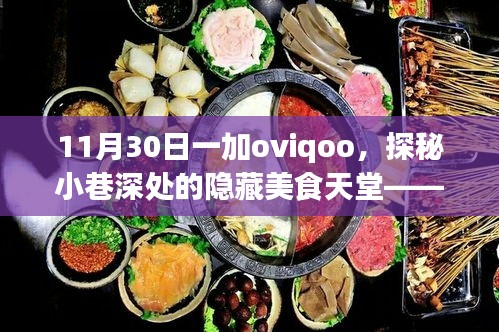 探秘小巷深处的隐藏美食天堂，一加oviqoo特色小店美食之旅（11月30日）