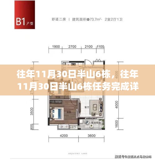 往年11月30日半山6栋任务完成指南，详解步骤，适合初学者与进阶用户参考