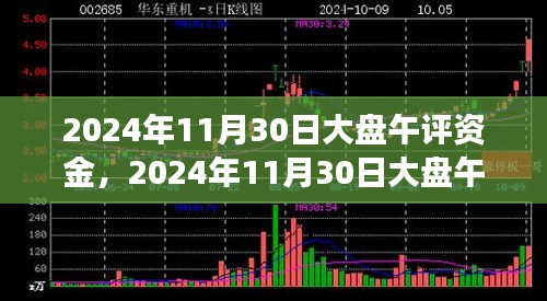 2024年11月30日大盘午评资金洞察与市场走势深度解析