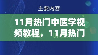 11月热门中医学视频教程，多元观点下的深入探讨