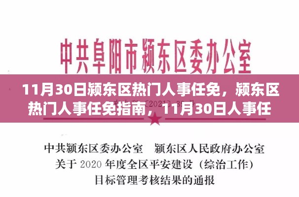 11月30日颍东区人事任免详解与指南