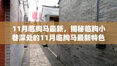 临朐小巷深处的特色小店，揭秘十一月最新美食与独特环境探索之旅