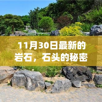 石头的秘密，友情、探险与温馨日常的奇妙旅程