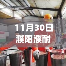 11月3 濮阳濮耐最新招聘聚焦，深度解读与观点碰撞