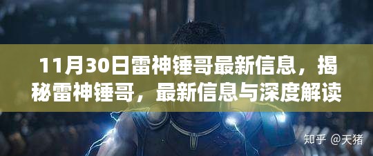 揭秘雷神锤哥，最新信息与深度解读（11月30日更新版）