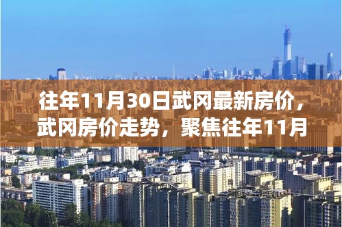 武冈房价走势揭秘，历年数据与个人洞察聚焦往年11月30日最新房价动态