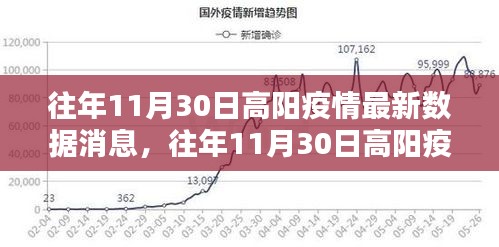 往年11月30日高阳疫情最新数据消息全解析，获取指南与初学者进阶教程