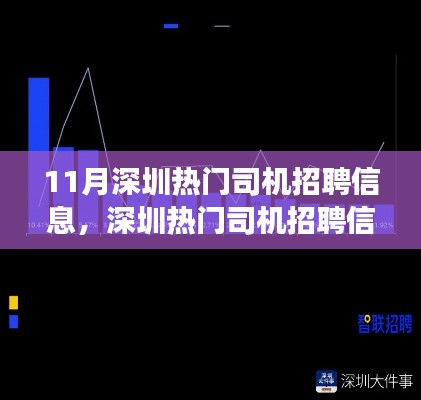 11月深圳热门司机招聘信息深度解析，行业洞察与求职指南