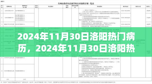 聚焦观点之争，洛阳热门病历深度解析与探讨（2024年11月30日）