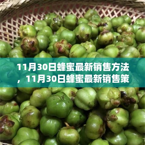 11月30日蜂蜜最新销售策略，开启甜蜜事业新篇章