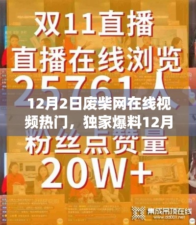 独家爆料，废柴网在线视频狂欢夜回顾，火爆瞬间一网打尽！