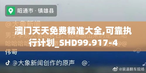 澳门天天免费精准大全,可靠执行计划_SHD99.917-4