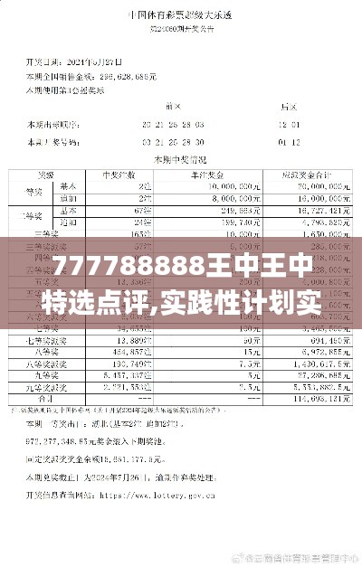 777788888王中王中特选点评,实践性计划实施_KP30.873-1