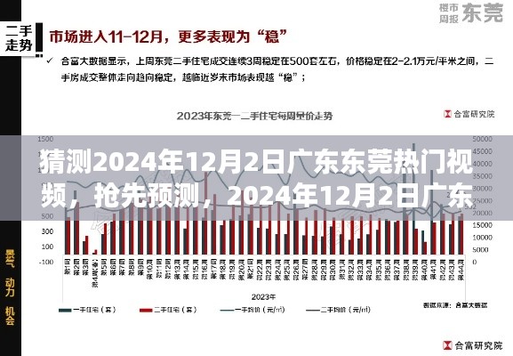 独家预测，2024年12月2日广东东莞热门视频趋势大解析