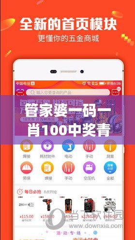 管家婆一码一肖100中奖青岛,适用性执行设计_入门版5.222-3