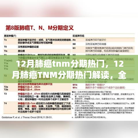 全面解读肺癌TNM分期，科学应对治疗挑战，洞悉肺癌分期热门知识