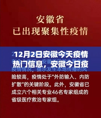 安徽疫情热点解读，今日最新信息深度剖析与多维对比