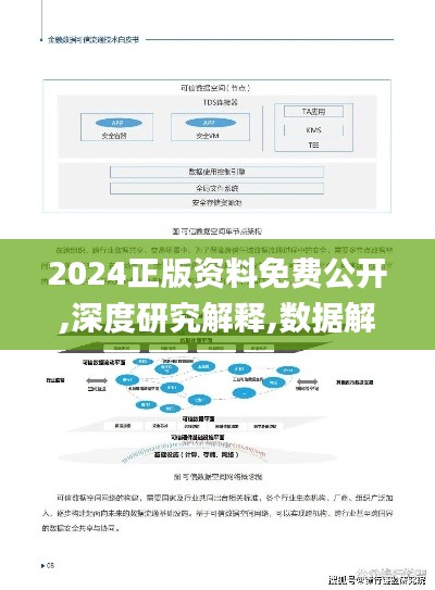 2024正版资料免费公开,深度研究解释,数据解析支持方案_Phablet19.536-9