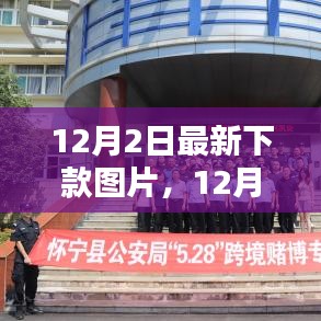 12月2日最新下款图片及产品评测报告详解