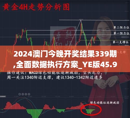 2024澳门今晚开奖结果339期,全面数据执行方案_YE版45.985-4