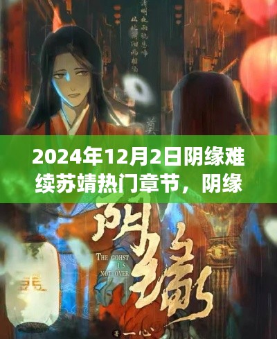 阴缘难续苏靖故事深度解析，以2024年12月2日为界