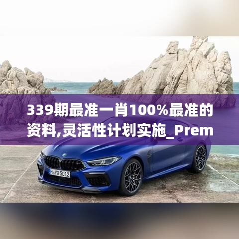 339期最准一肖100%最准的资料,灵活性计划实施_Premium93.245-2