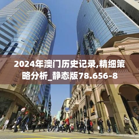 2024年澳门历史记录,精细策略分析_静态版78.656-8