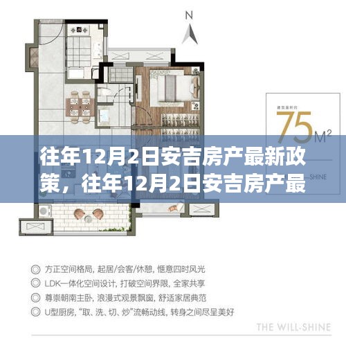 往年12月2日安吉房产最新政策解读及其影响分析