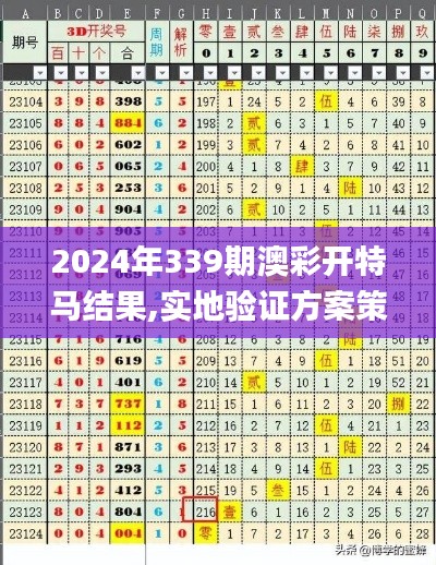 2024年339期澳彩开特马结果,实地验证方案策略_苹果款79.247-6