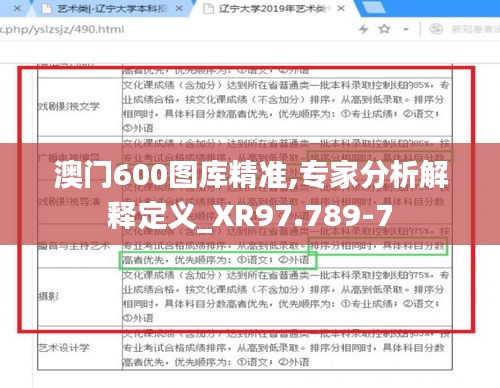 澳门600图库精准,专家分析解释定义_XR97.789-7