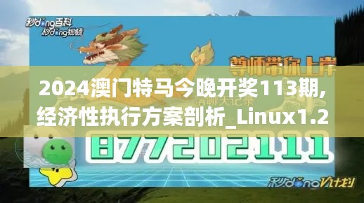 2024澳门特马今晚开奖113期,经济性执行方案剖析_Linux1.237-2