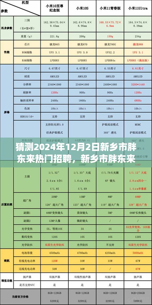 揭秘未来招聘趋势，新乡市胖东来热门招聘展望（2024年12月版）