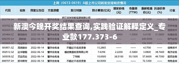 新澳今晚开奖结果查询,实践验证解释定义_专业款177.373-6