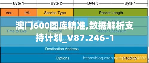 澳门600图库精准,数据解析支持计划_V87.246-1