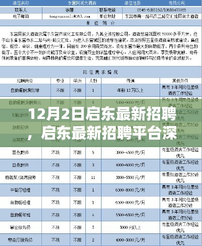 启东最新招聘平台测评报告，深度解析启东招聘市场现状（最新日期，12月2日）