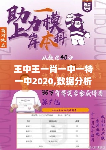 王中王一肖一中一特一中2020,数据分析说明_挑战款99.641-9