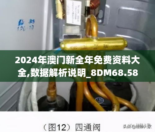 2024年澳门新全年免费资料大全,数据解析说明_8DM68.583-2