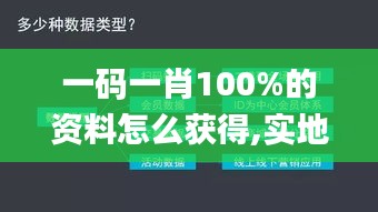 一码一肖100%的资料怎么获得,实地数据评估方案_4DM160.155-3