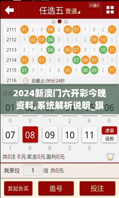 2024新澳门六开彩今晚资料,系统解析说明_旗舰款12.867-4