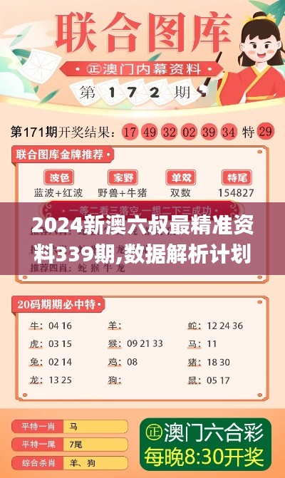 2024新澳六叔最精准资料339期,数据解析计划导向_精英款39.295-7