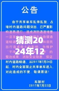 漳客网官陂探寻自然秘境，心灵之旅启程于2024年12月的新发现