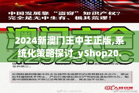 2024新澳门王中王正版,系统化策略探讨_yShop20.421-4