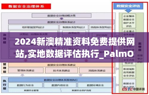 2024新澳精准资料免费提供网站,实地数据评估执行_PalmOS90.785-1