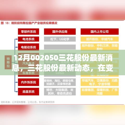 三花股份变革动态，最新消息与绽放光彩的十二月展望