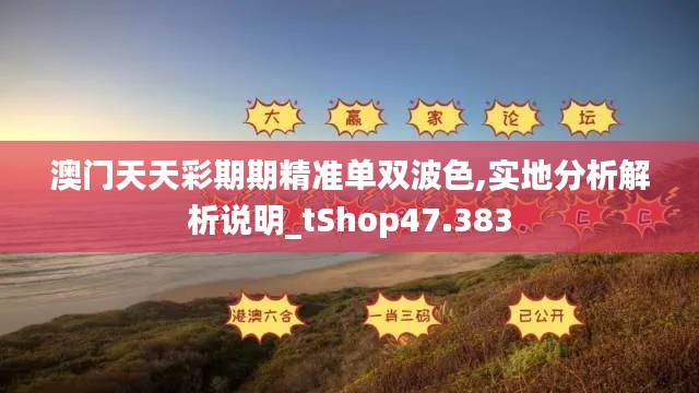 澳门天天彩期期精准单双波色,实地分析解析说明_tShop47.383