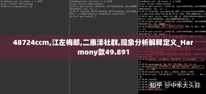 48724ccm,江左梅郎,二惠泽社群,现象分析解释定义_Harmony款49.891