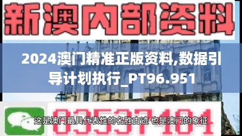 2024澳门精准正版资料,数据引导计划执行_PT96.951