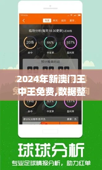 2024年新澳门王中王免费,数据整合设计解析_RemixOS13.908