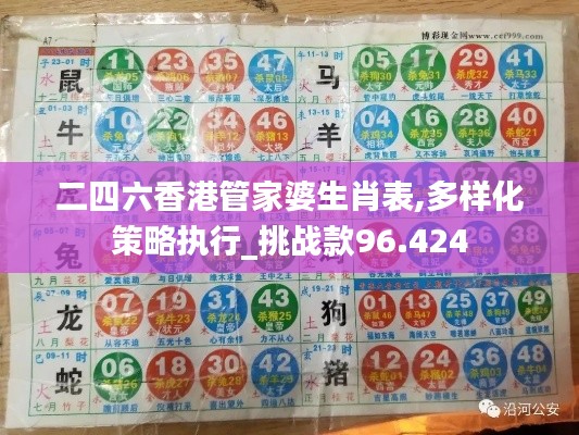 二四六香港管家婆生肖表,多样化策略执行_挑战款96.424